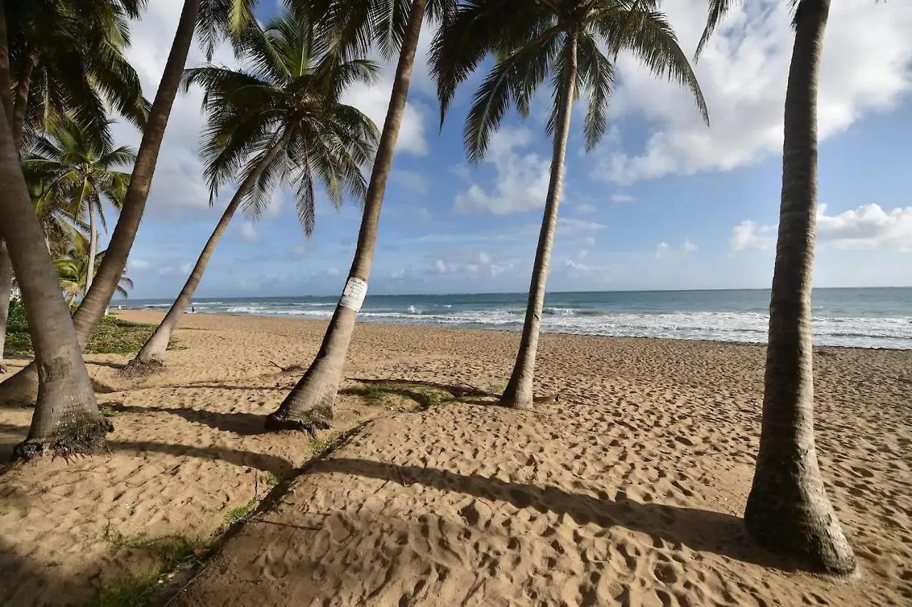 Kasa Las Palmas Ocean View Beachfront Condo Pool Сан-Хуан
